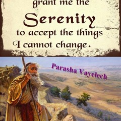 Parasha Vayelech 5782 - Trovare Il Coraggio Durante Periodi Di Transizione