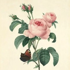 Sapphire [Rough Demo]