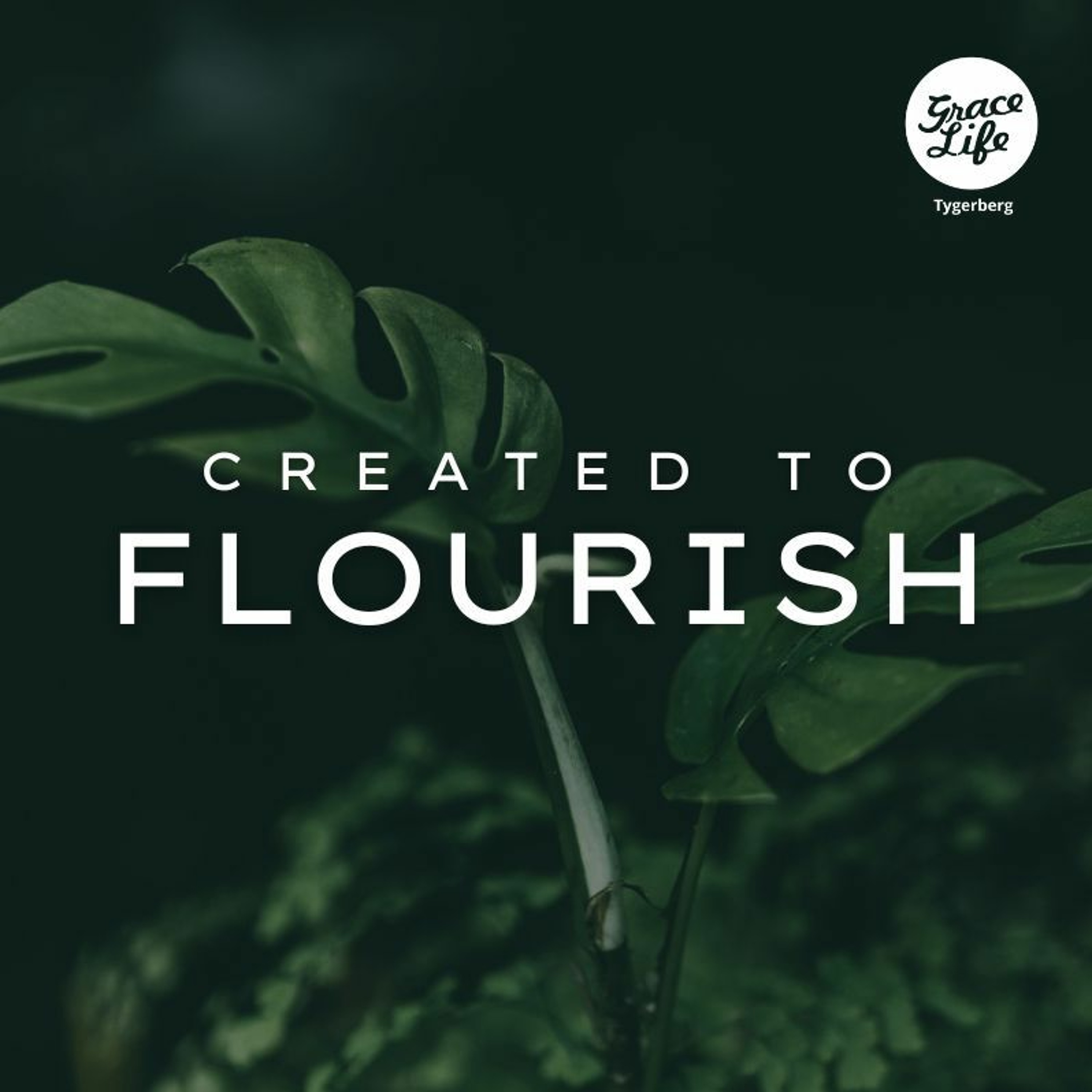 Created To Flourish - Part 1 - Whose am I - Ettienne Willemse (Tygerberg)