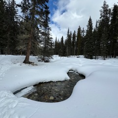240314 002 Baker Creek 1