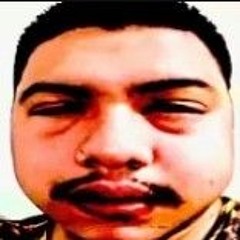 | THE SHITTRAP |