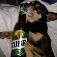 Gizmo WDP - ja i mój koleżka