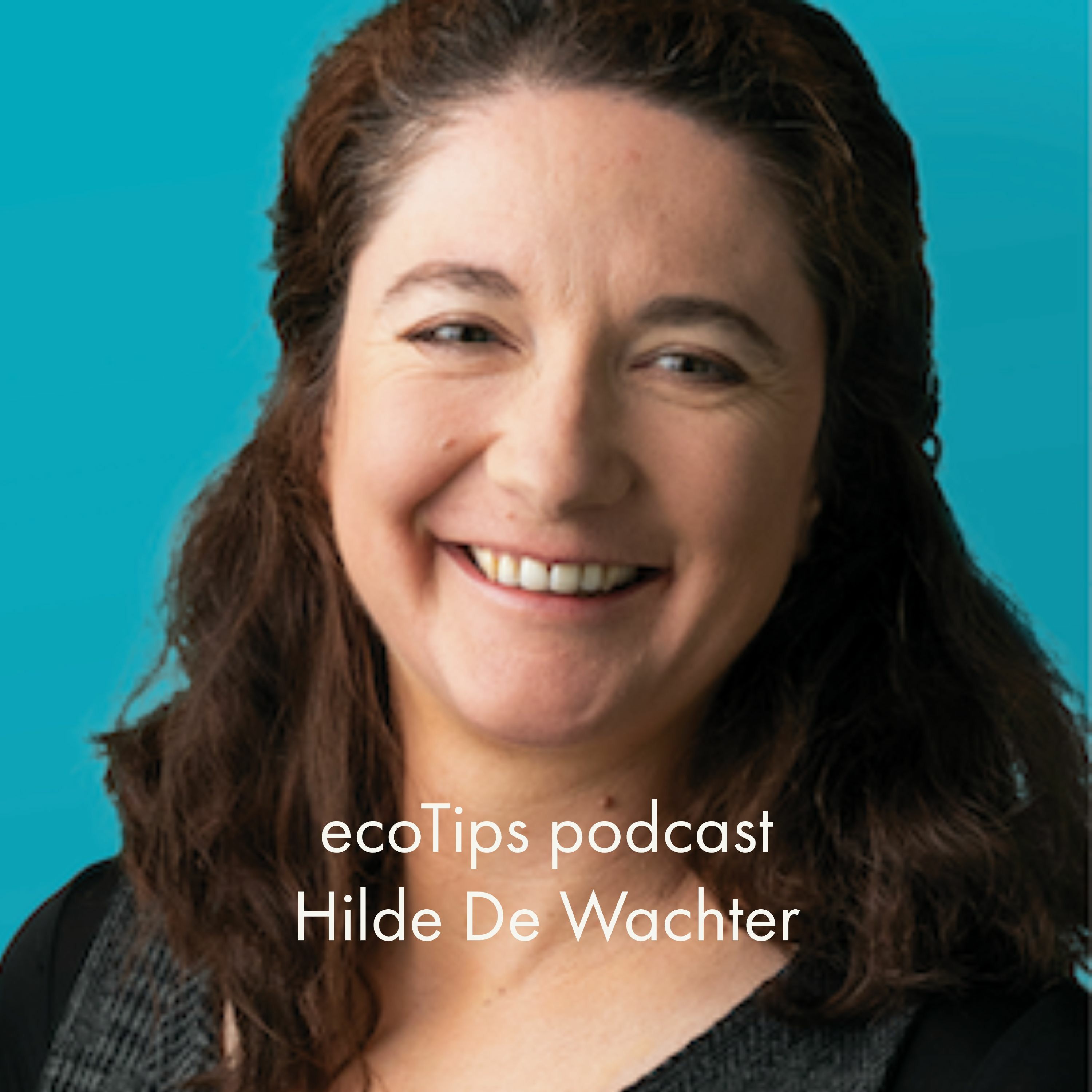 ecoTips over duurzaam ondernemen