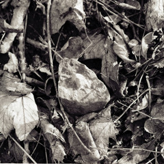 DER_URSPRUNG