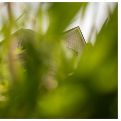 max cooper X skrillex X zay osama X aphex