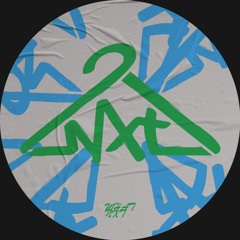 Timmy P - Broths Are Shyte (snippet) [What NxT]
