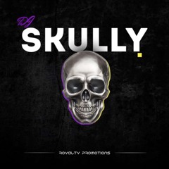 EDM MIX ( DJ SKULLY )