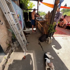 @ Dampfende Wildsau / Best of Schloss Hits