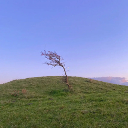 Stream juice wrld lobster pizza + lemon glow (slowed + reverb) by