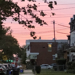 LUV LIFE! (feat. zompie)