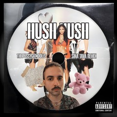 Stream The Pussycat Dolls - Hush Hush (Sina Tava Remix) by