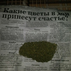 dobraya_polka_den_nezavisimosti_