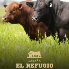 Jorge Barboza - Remate El Refugio