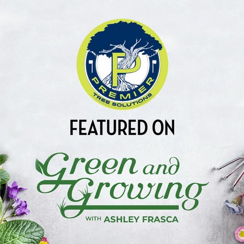 Stream premier tree solutions listen to green and growing with ashley
