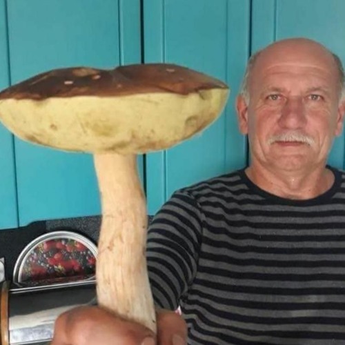 Мем дед дает поджопники школьнику на улице