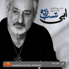 Ebi - Shabzadeh (Unplugged) /  ابی - شب زده