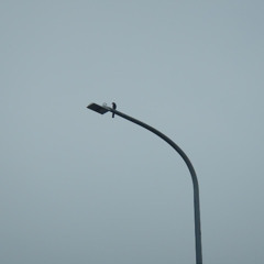 Transmission Hijack