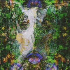 Experimental Spring Equinox ~ Plankton Vs Igorrr RMX