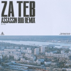 Za Teb (ASSASIN BUG REMIX)