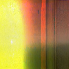 track six: bird calls