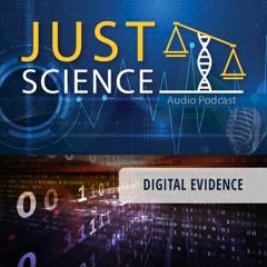 Just A Public Defender’s Perspective_Digital Evidence_134