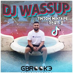 TikTok With DjWassup Pt 3