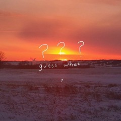 Sevendsr - Guess What