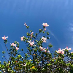 Good bye my friend V.2