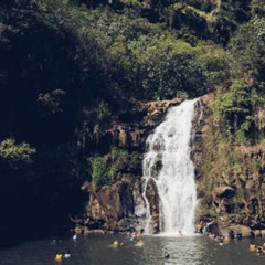 Review Special Price Toa Luau At Waimea Valley