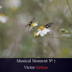 Musical Moment № 7 - Improvised Piano Piece