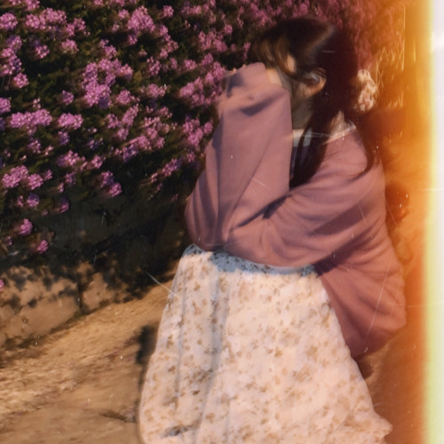 Bằng lăng tím soft