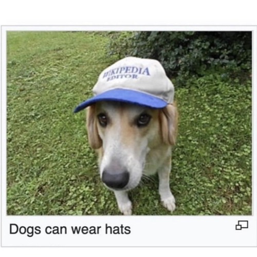 Inevitable Solutions