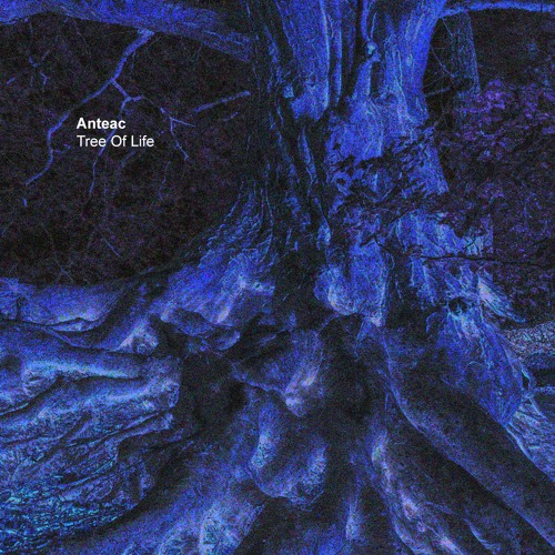 Anteac - First Connection