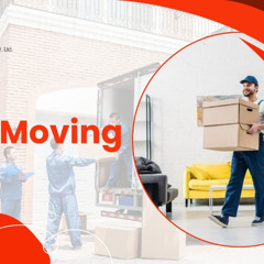 The Evolution of Packing Materials_ Sustainable Options