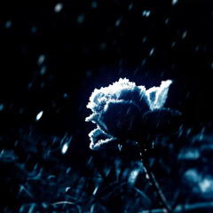 DUBSTIFIED - ASCEND (REMIX)