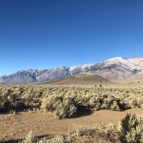 moontribe 31 year june 22 2024