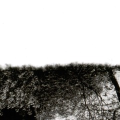 Only step (2022-25) | Clarinet & piano