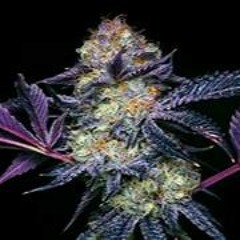 D.R.E x Jsam x 850Troupe - Za