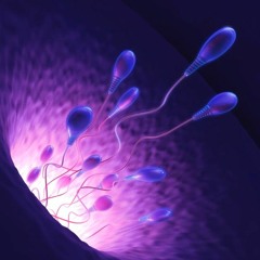 Orgasmic