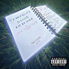 TRANQUILITY GROOVE AMAPIANO 2023 (Asake, Burnaboy, Davido, Rema, Wizkid, and more)