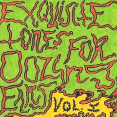 Dat.sun Signaltracker (with TRuCK vAN ReNTaL)