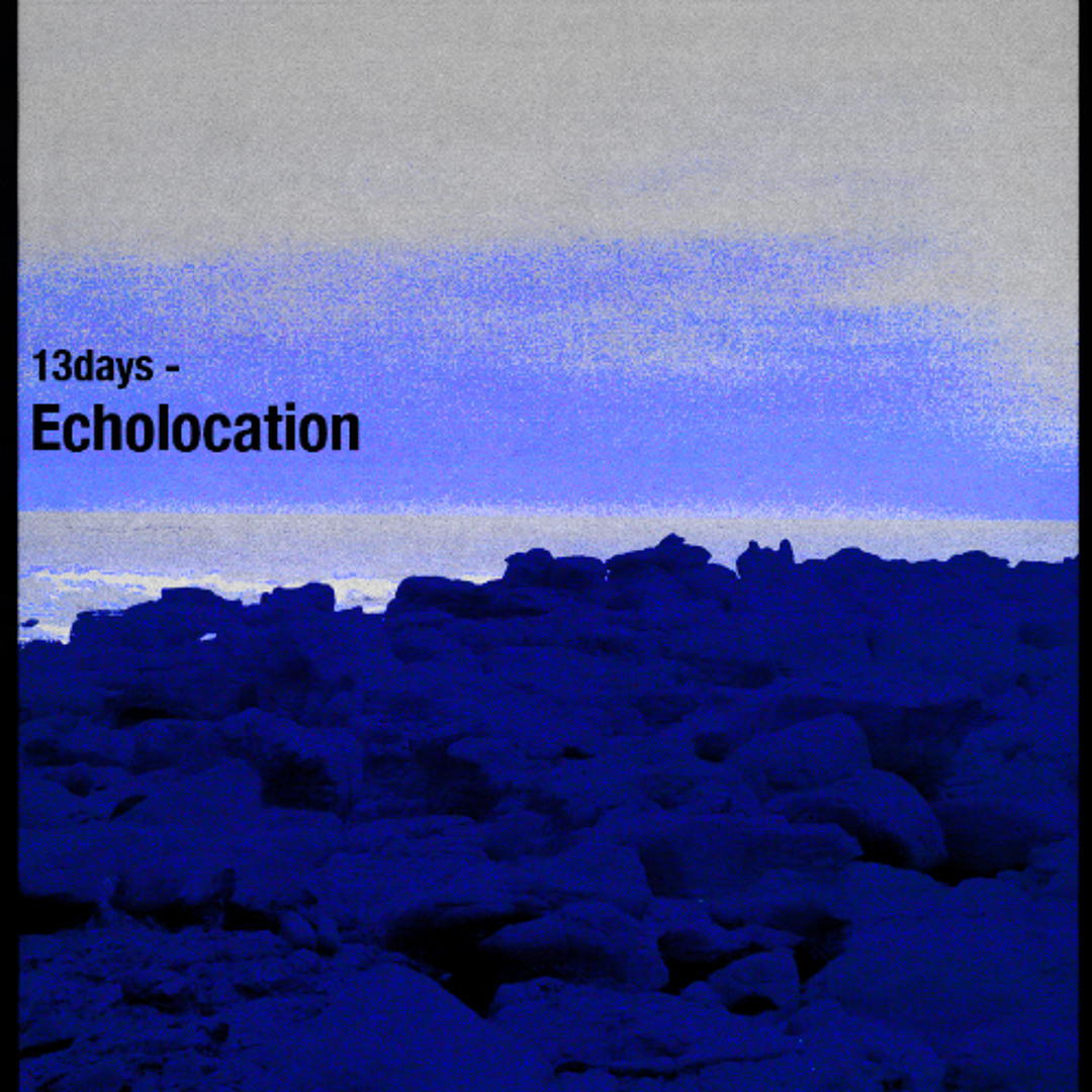 Echolocation