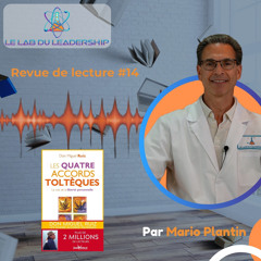 Revue de lecture #14 : Les quatre accords toltèques au travail