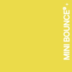 mini bounce⁹