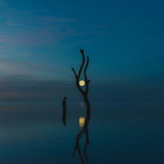 Pulsing (Avem & Arutani Remix)