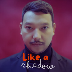 Like A Shadow