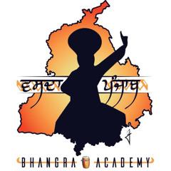 Vasda Punjab Bhangra Academy - Co-Ed Mix - H96