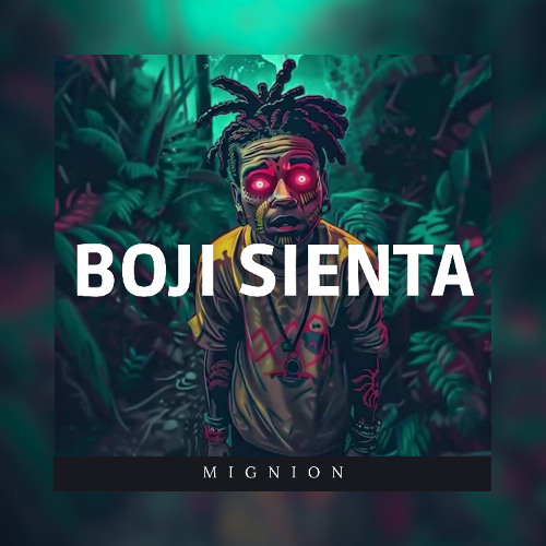 BOJI SIENTA - [ MIGNION ] F3A _ 2025