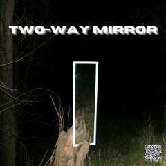 Trust the Reflection