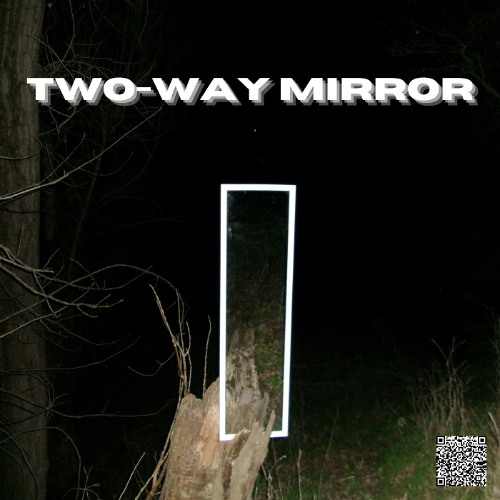 Trust the Reflection